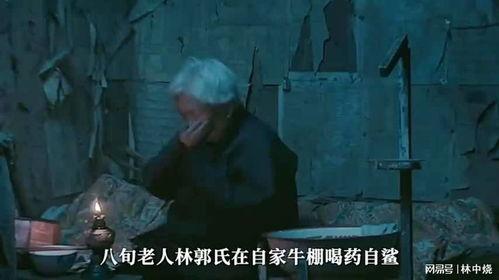 国产家庭伦理电影,国产家庭伦理电影的温馨篇章